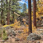 Review photo of Fool Hollow Lake Recreation Area Campground by Richard H., July 10, 2025
