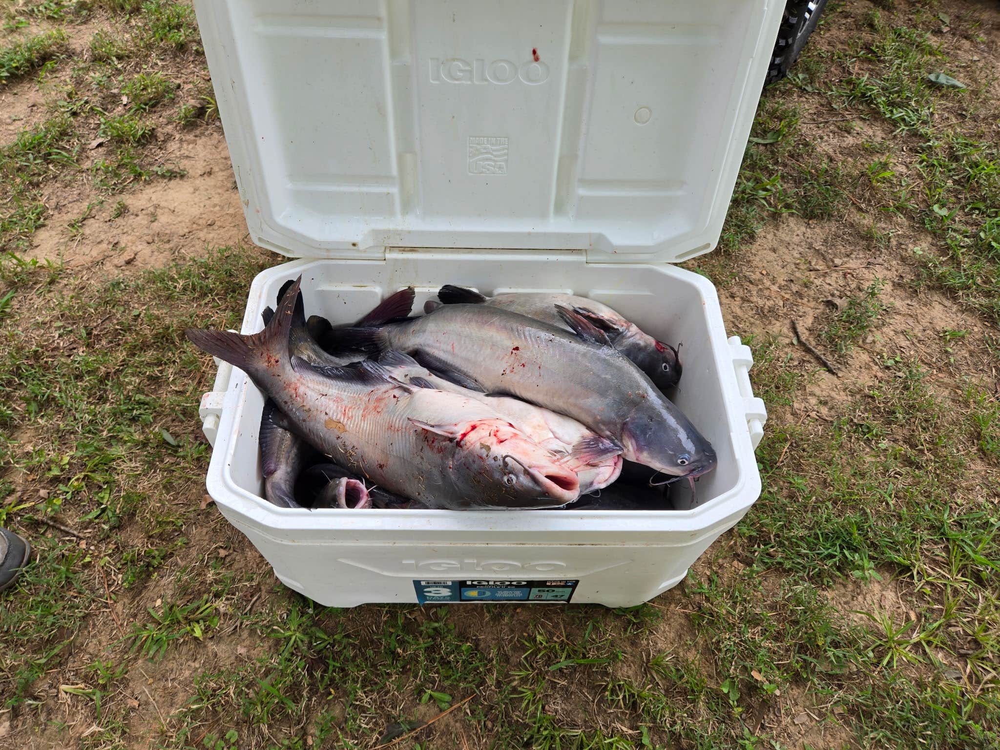 Camper-submitted photo at Mulberry Creek Camp near Fulton, MS