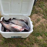 Review photo of Mulberry Creek Camp by Susan P., July 10, 2025