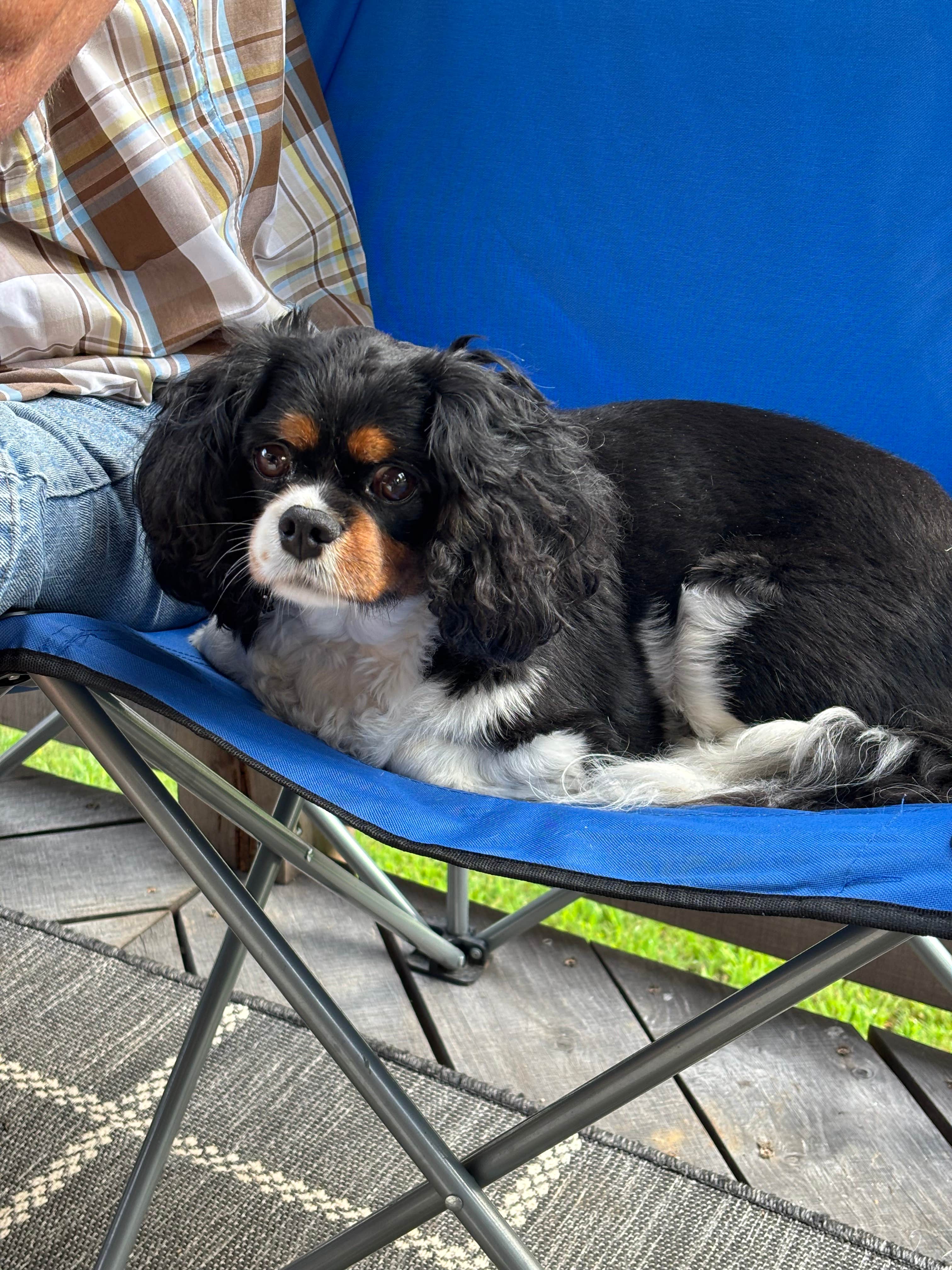 Camper-submitted photo at Mulberry Creek Camp near Fulton, MS