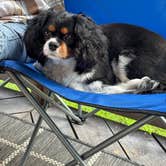 Review photo of Mulberry Creek Camp by Susan P., July 10, 2025