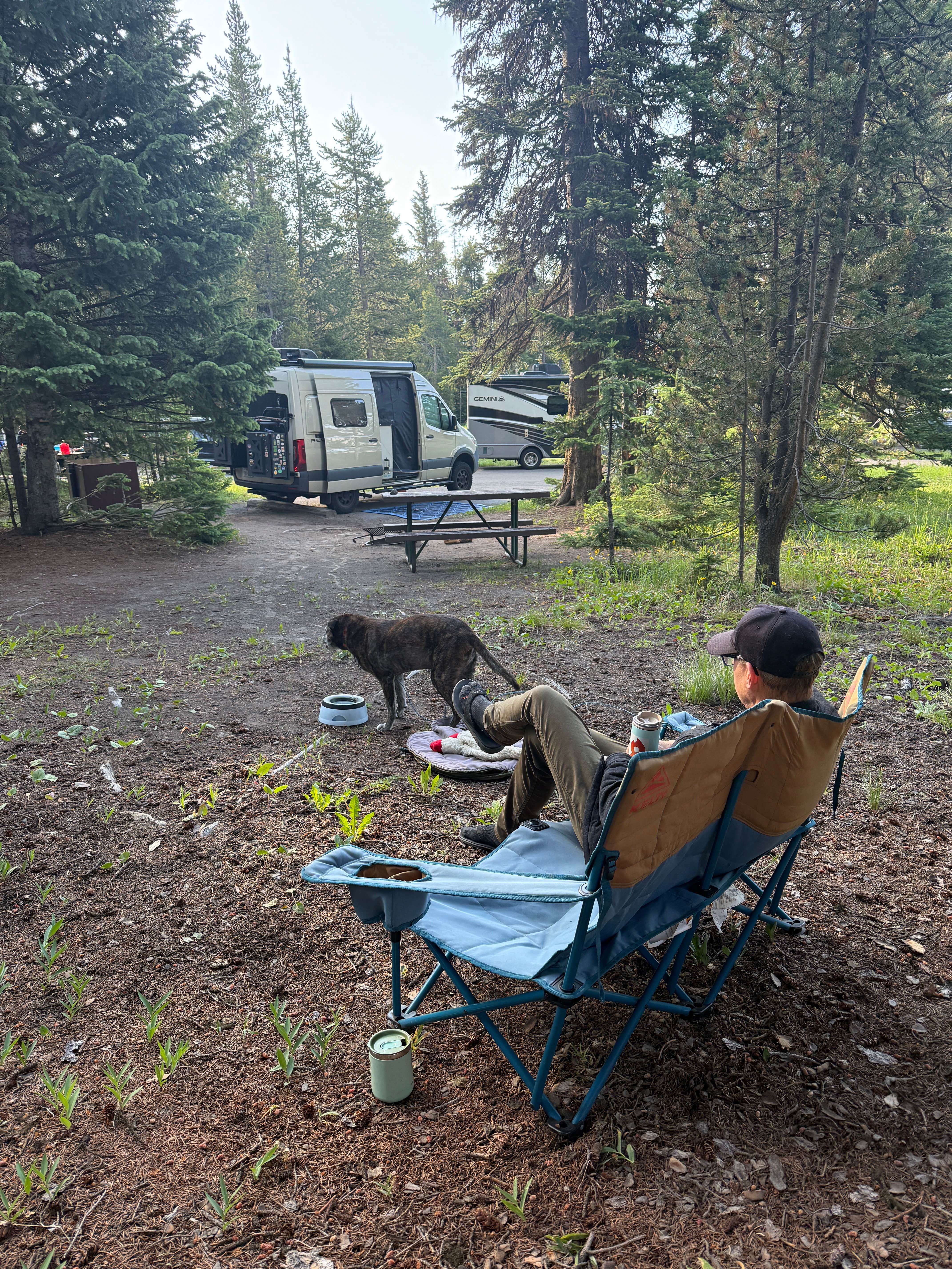 Sarah S.'s photo of camping with pets at Bridge Bay Campground — Yellowstone National Park near Yellowstone National Park