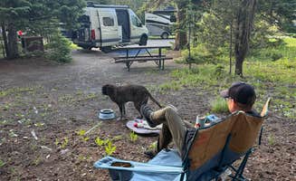 Sarah S.'s photo of camping with pets at Bridge Bay Campground — Yellowstone National Park near Yellowstone National Park