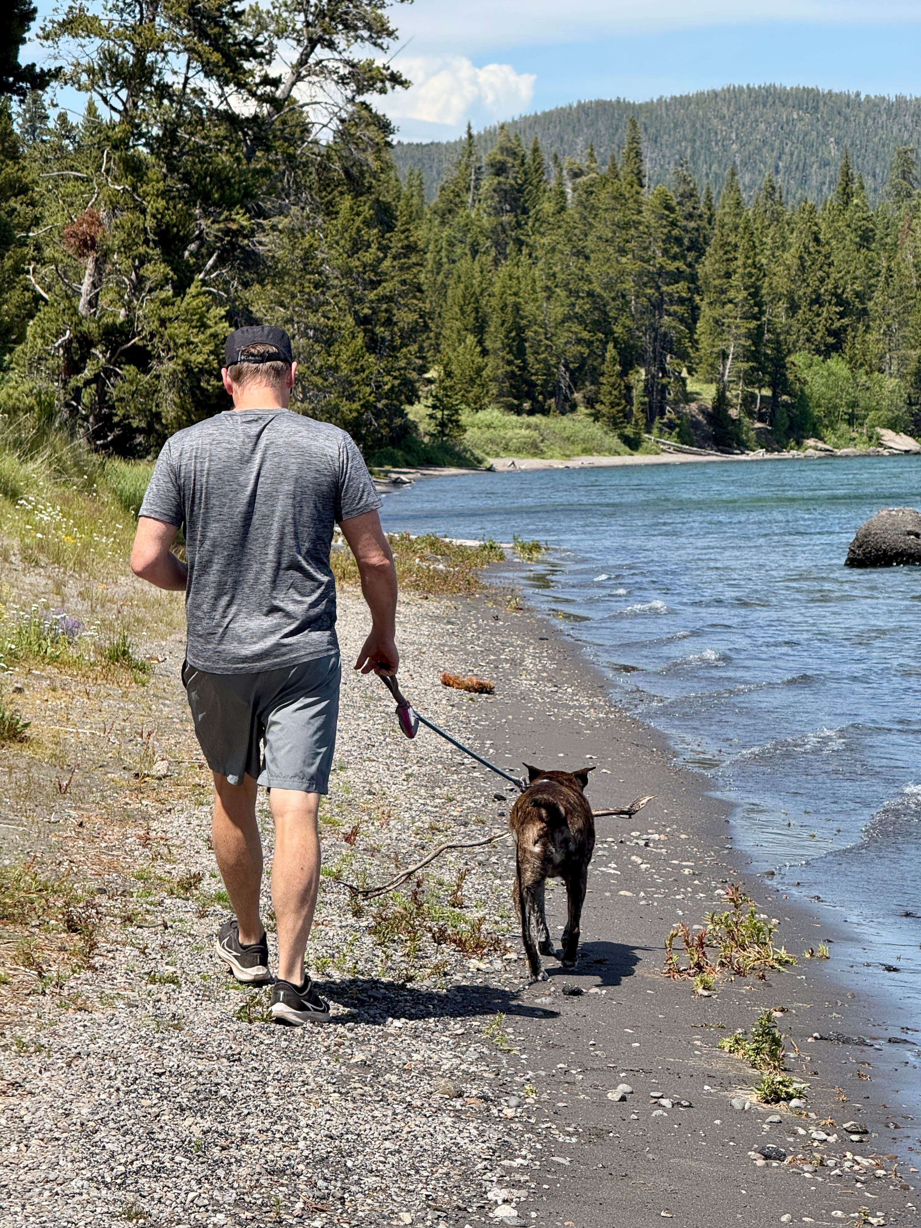 Sarah S.'s photo of camping with pets at Bridge Bay Campground — Yellowstone National Park near Yellowstone National Park