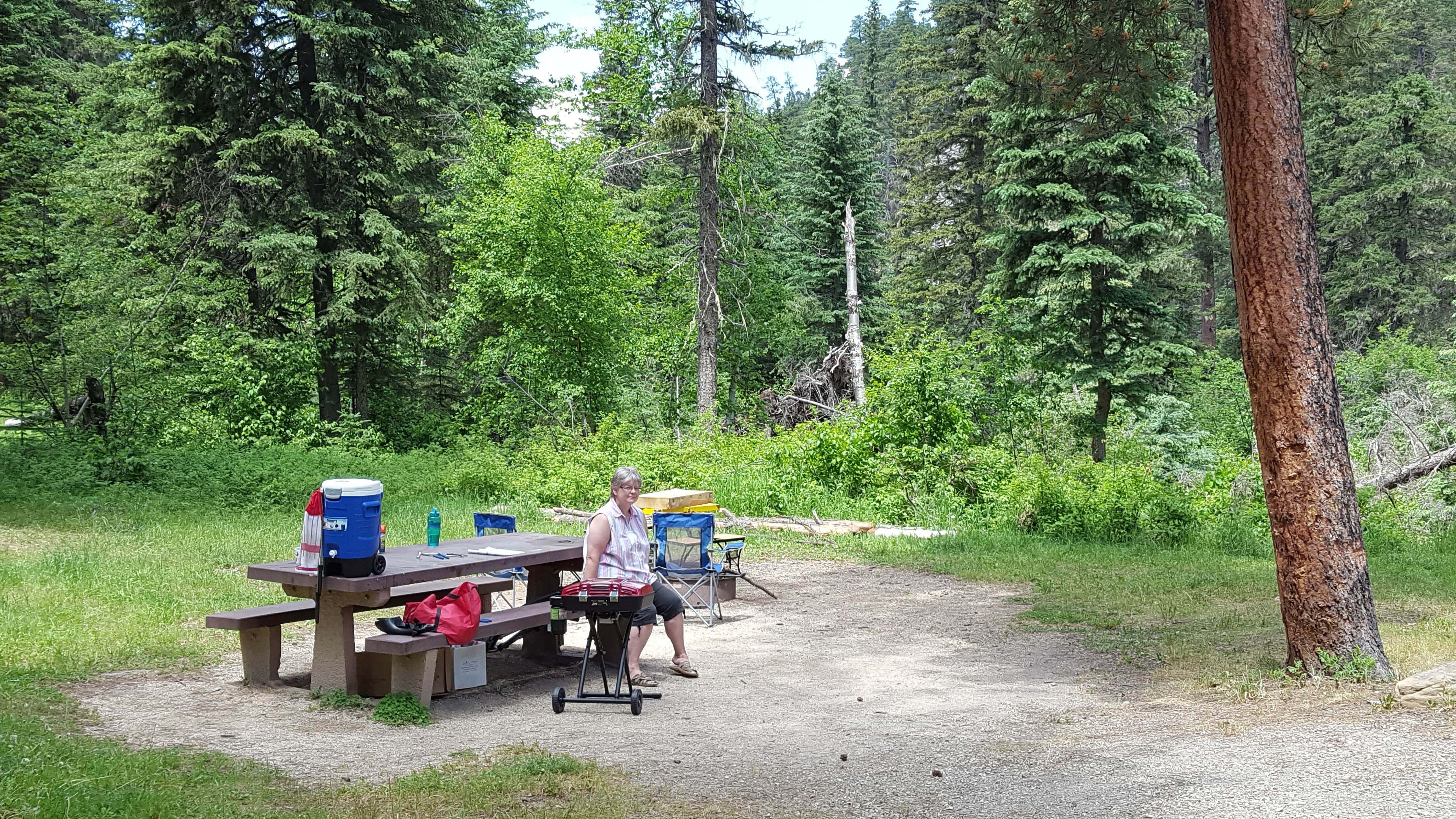 Dalton Lake Campground The Dyrt