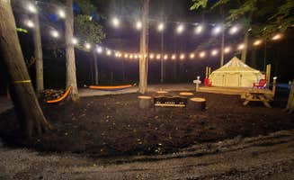 Tim S.'s photo at The Firefly Nest near Defiance, OH