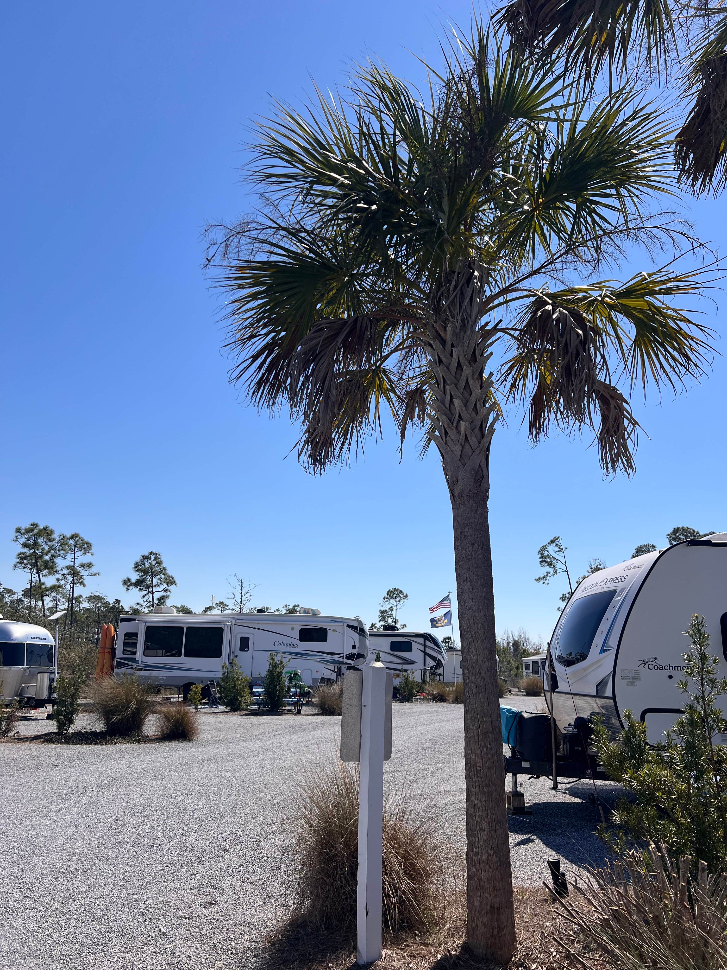 Camper-submitted photo at Old Salt RV Park near Apalachicola, FL