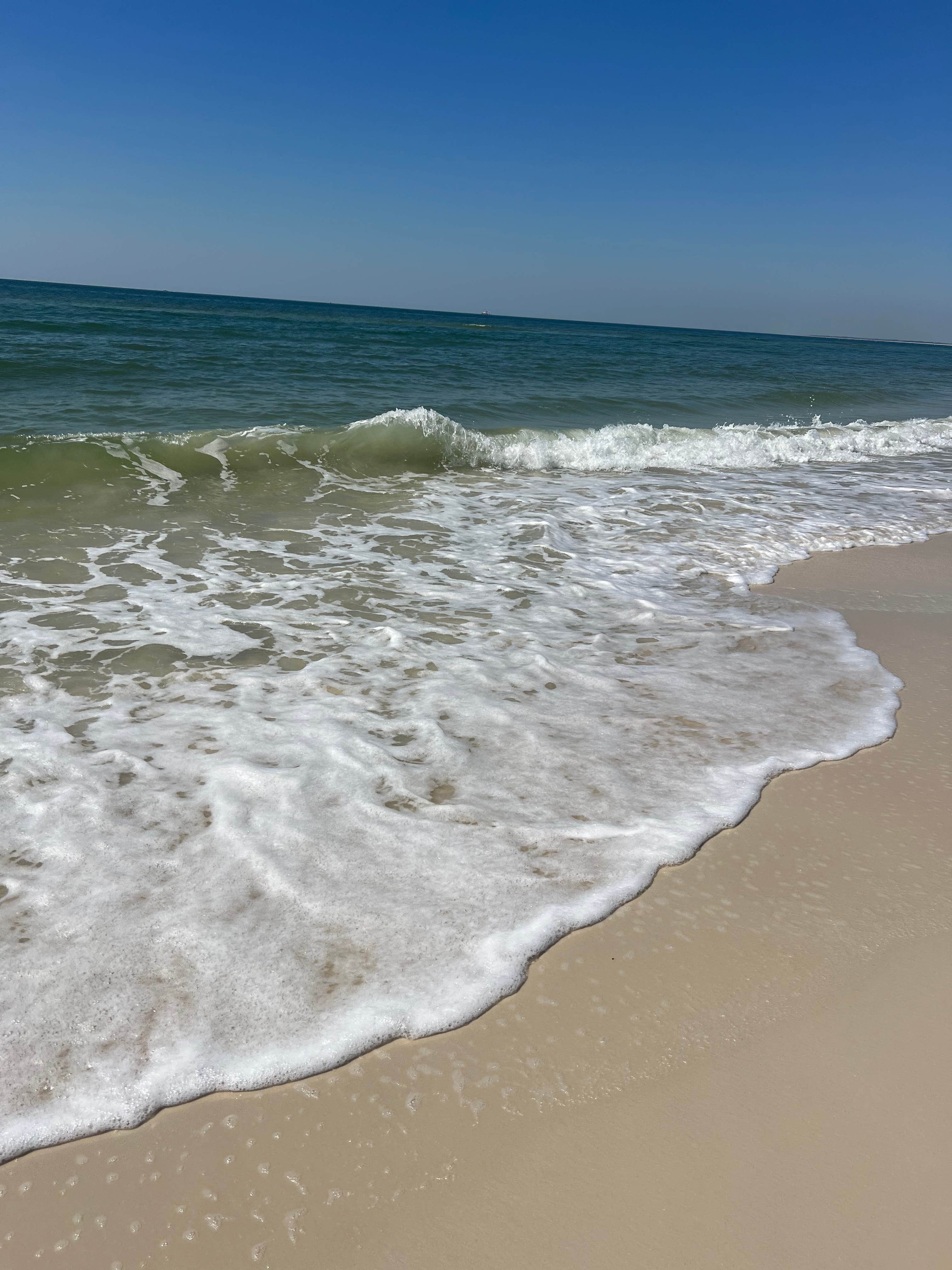 Camper-submitted photo at Old Salt RV Park near Apalachicola, FL