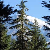Review photo of Cougar Rock Campground — Mount Rainier National Park by Michael K., September 22, 2016