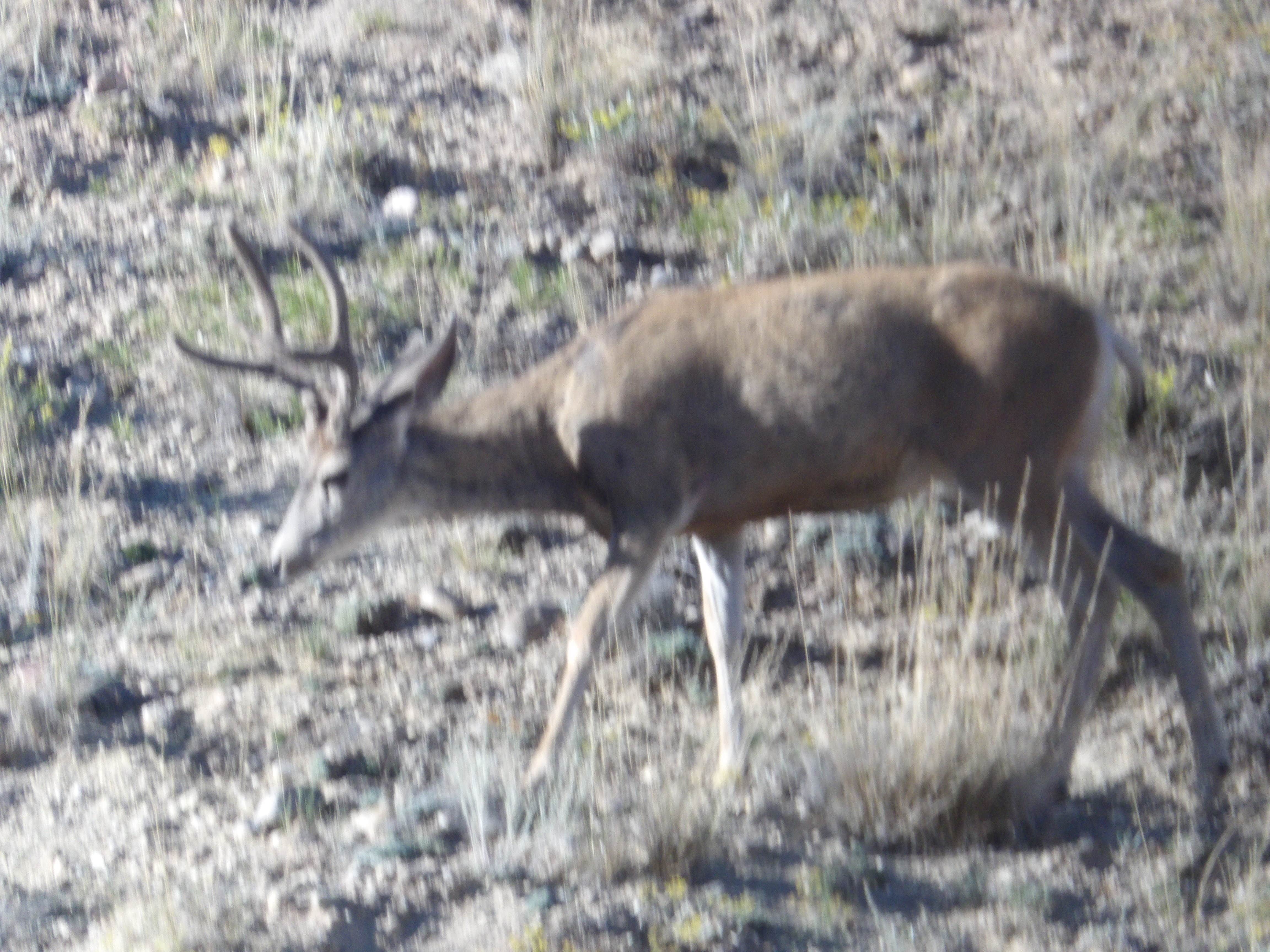Camper-submitted photo at Solitude RV Park near Dubois, WY