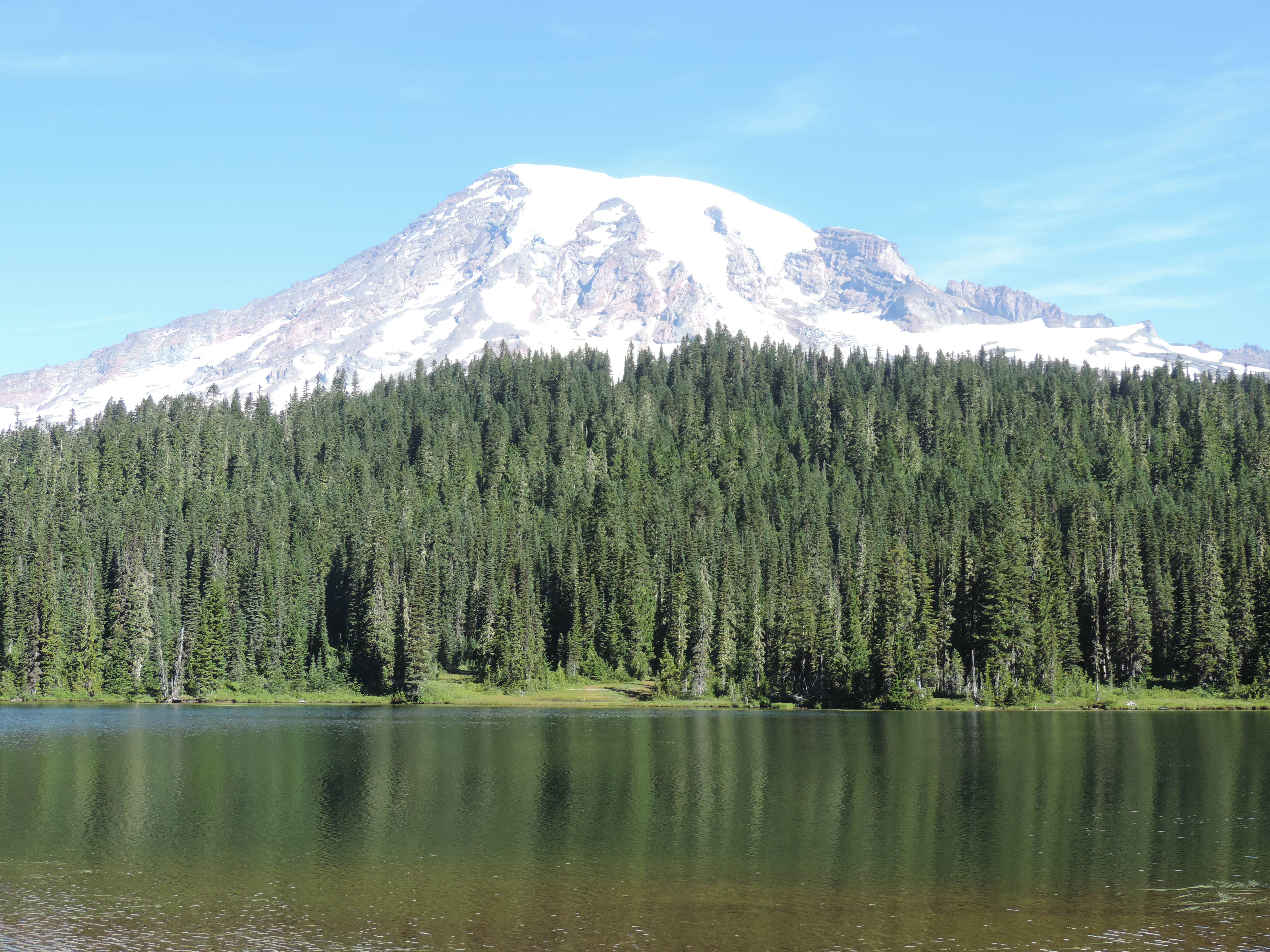 Camper submitted image from Cougar Rock Group Campground — Mount Rainier National Park - 1