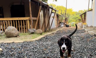 The Dyrt's photo of camping with pets at Jardin al Bosque Glamping in Puerto Rico