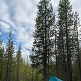 Review photo of Mount Thielsen Wilderness by Ali , July 11, 2025