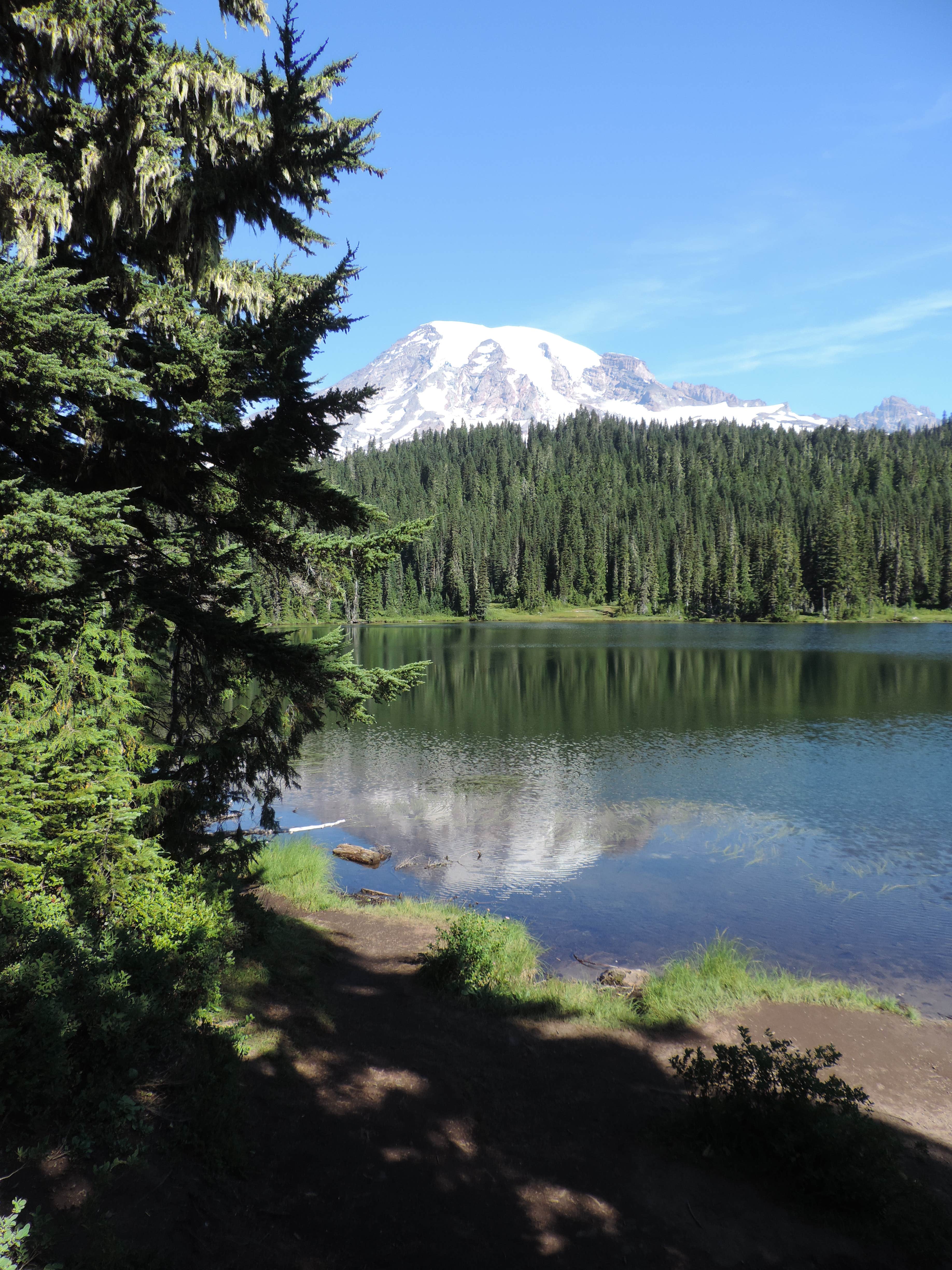 Cougar Rock Campground Mount Rainier National Park Longmire WA