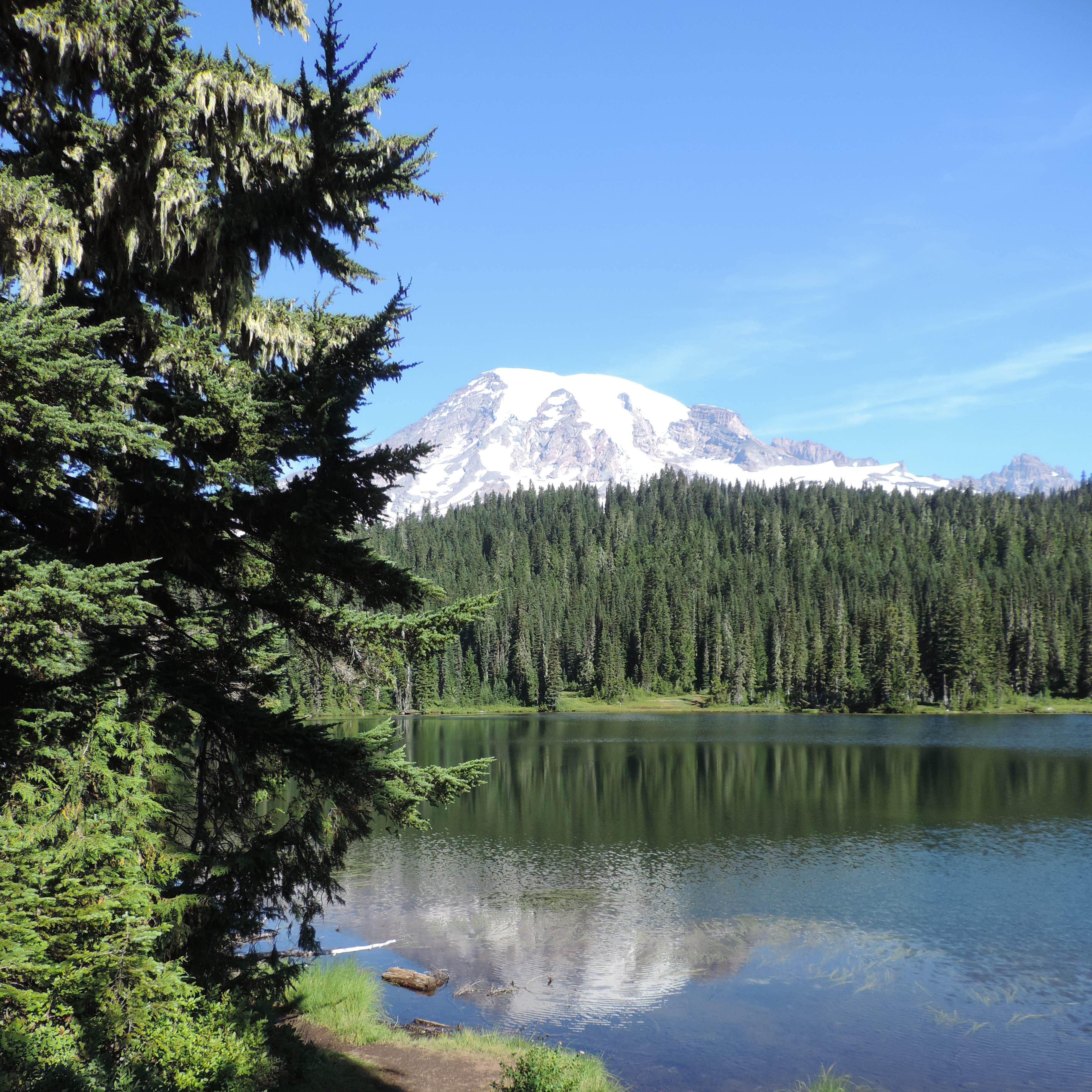 Cougar Rock Campground — Mount Rainier National Park