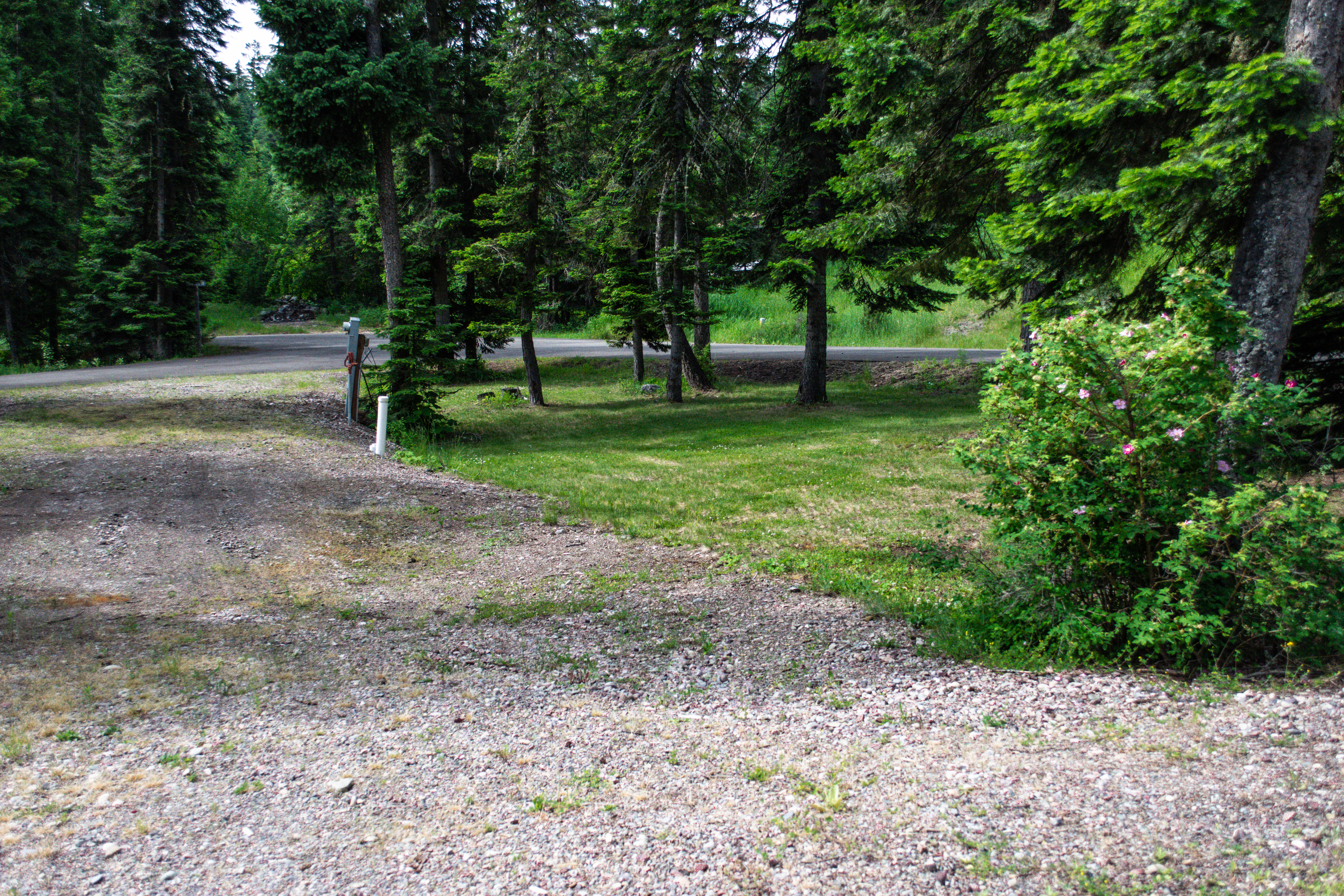Camper-submitted photo at Pine Meadows RV Resort near Condon, MT