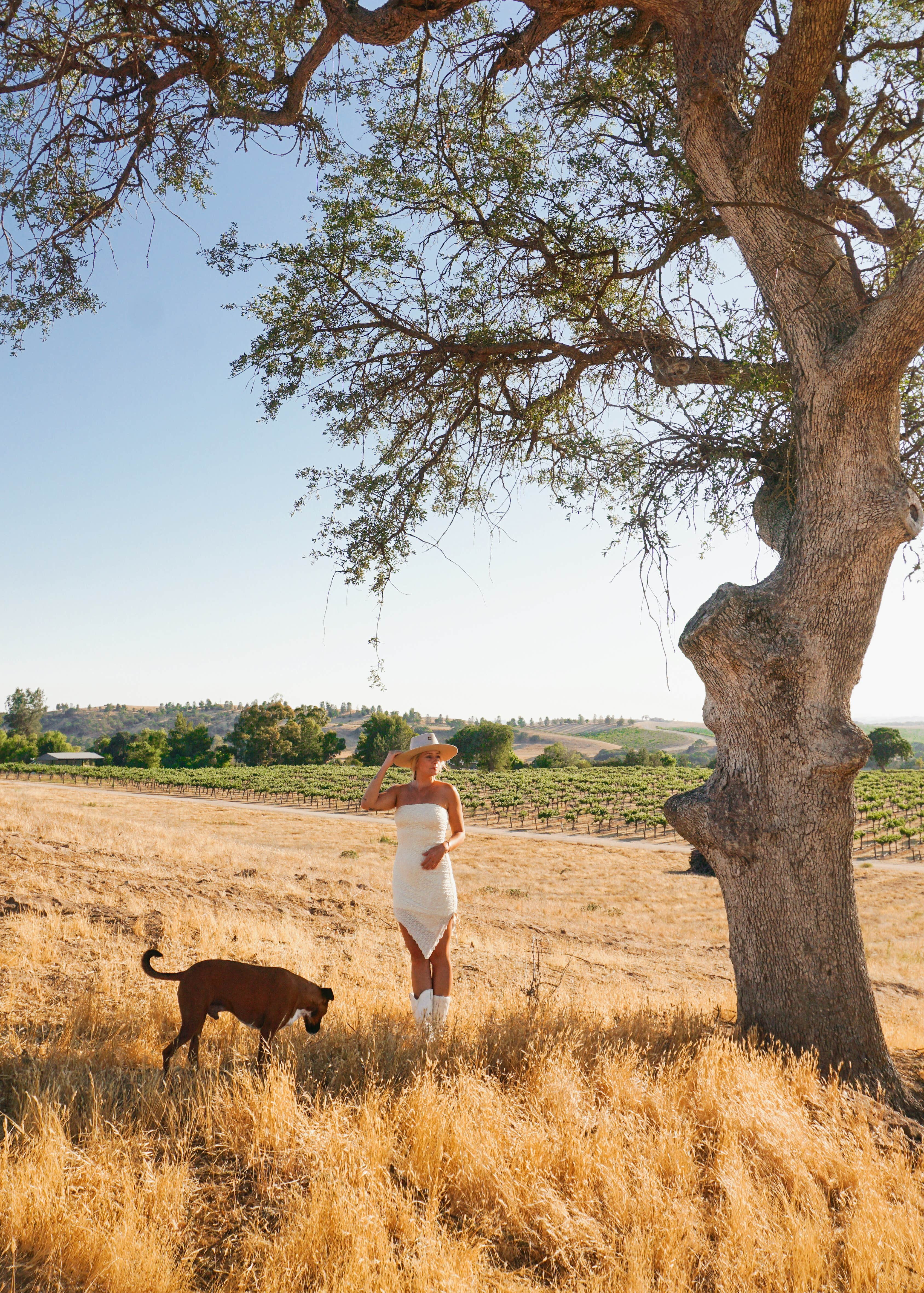 Camper-submitted photo at Vinyl Vineyards near Coalinga, CA