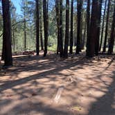 Review photo of Crocker Family Campground by Patricia N., July 12, 2025