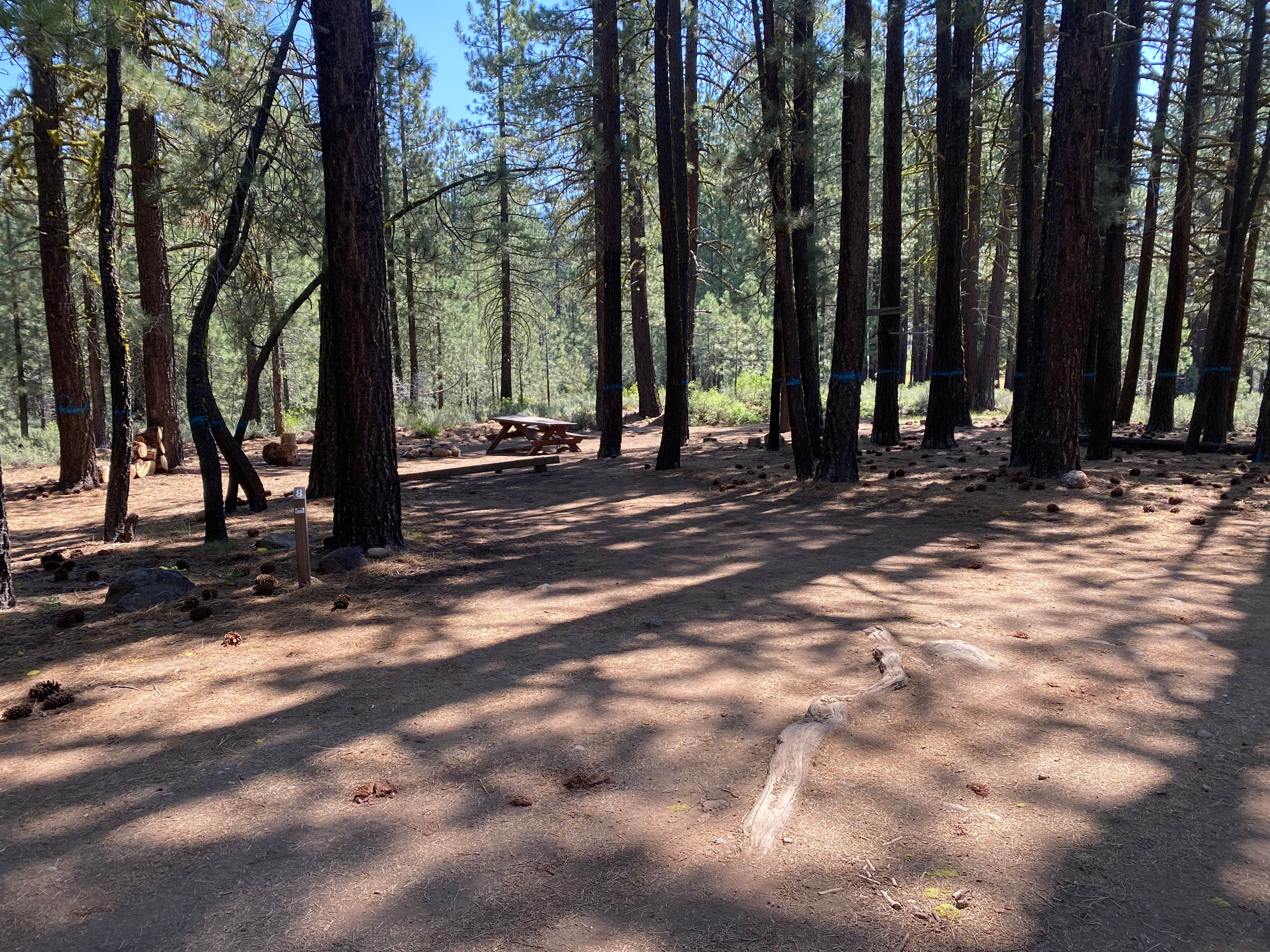 Camper submitted image from Crocker Family Campground - 3
