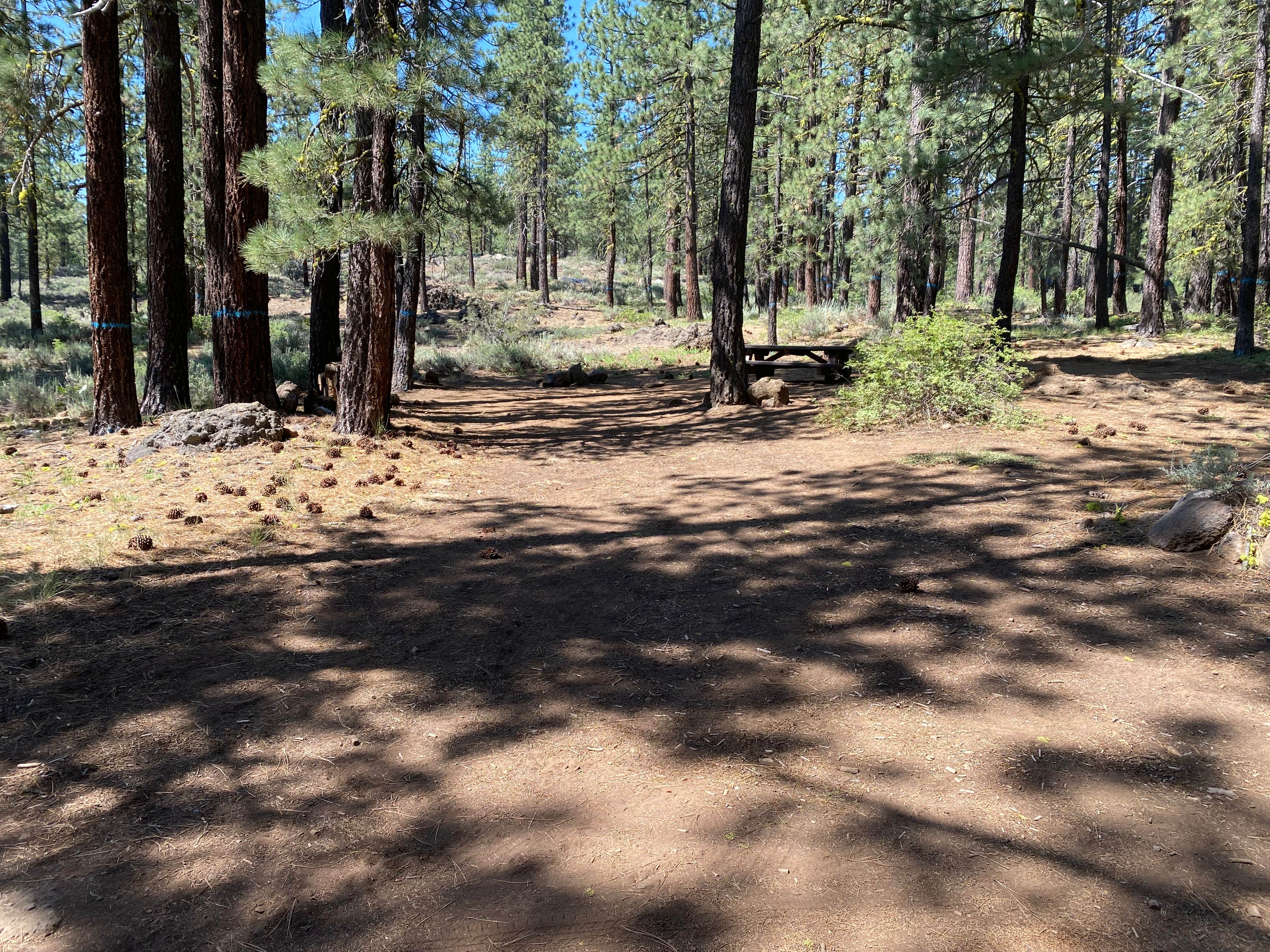 Camper submitted image from Crocker Family Campground - 4