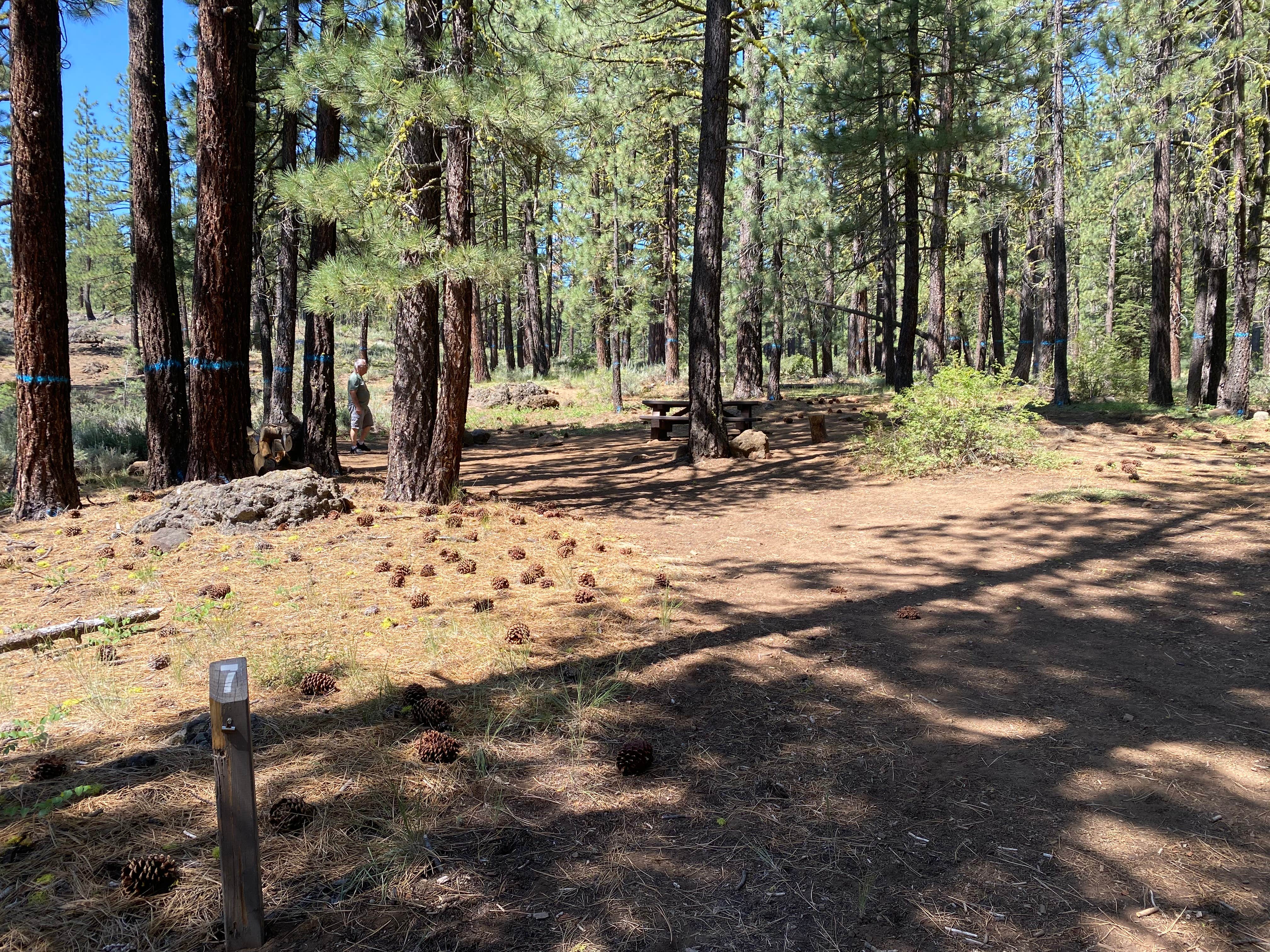 Camping near Plumas National Forest Grizzly Campground: Crocker Family Campground, Portola, California