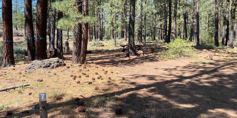 Camper submitted image from Crocker Family Campground