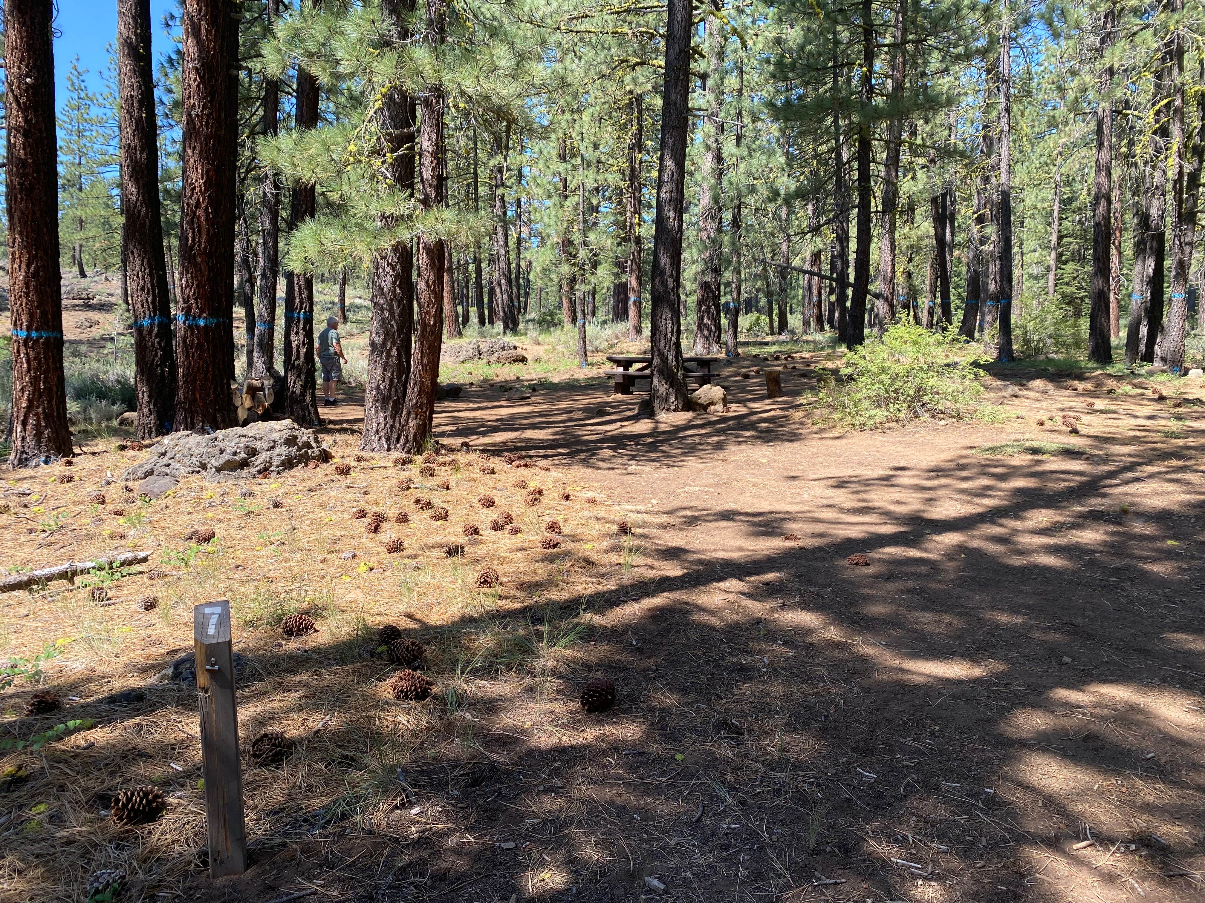 Camper submitted image from Crocker Family Campground - 5