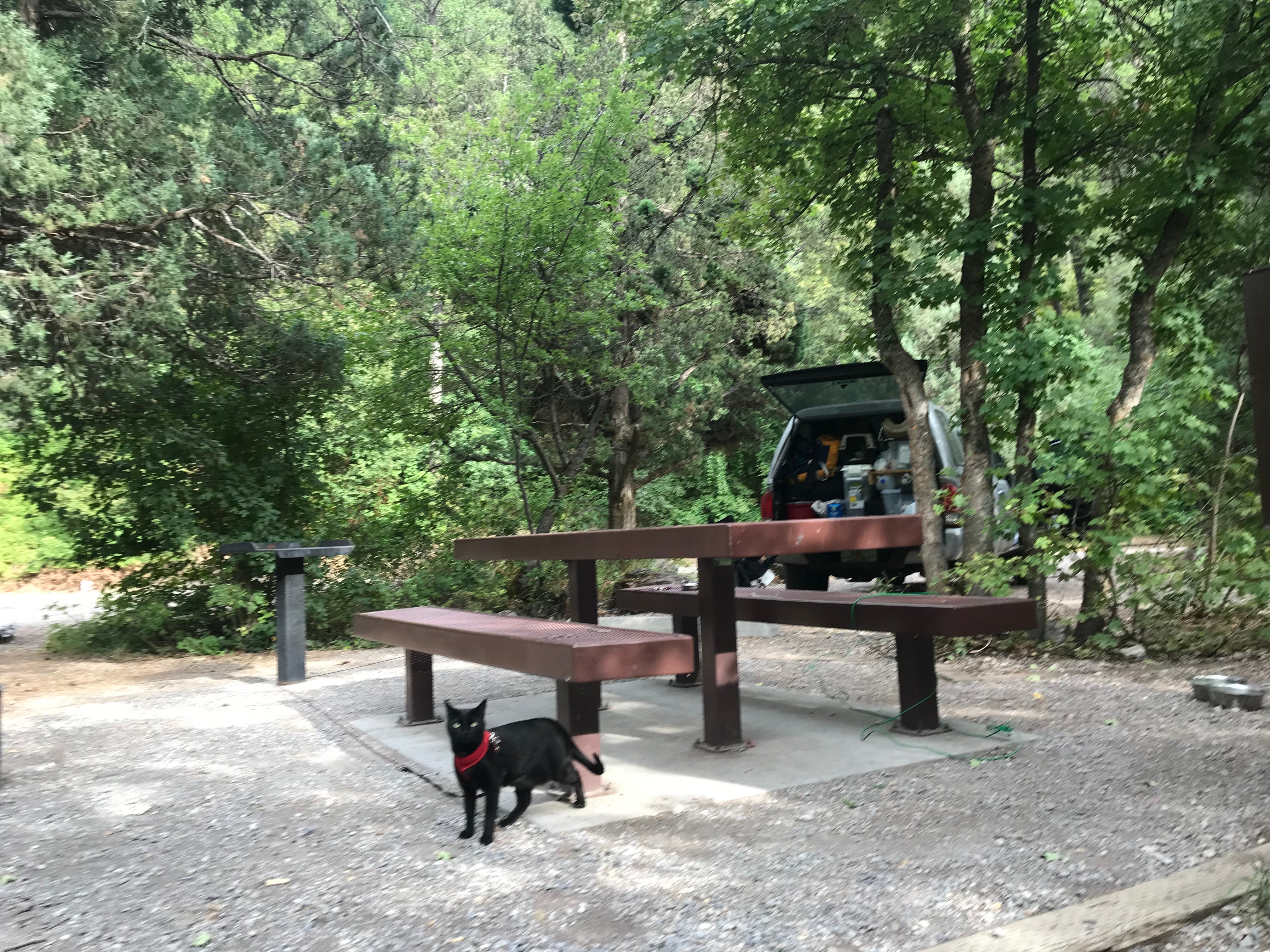 Camper submitted image from Palisades Creek Campground - 1