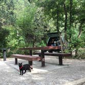 Review photo of Palisades Creek Campground by Kaelin P., July 30, 2019