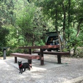 Review photo of Palisades Creek Campground by Kaelin P., July 30, 2019