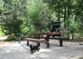 Palisades Creek Campground