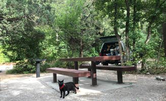 Kaelin P.'s photo of camping with pets at Palisades Creek Campground near Victor, ID