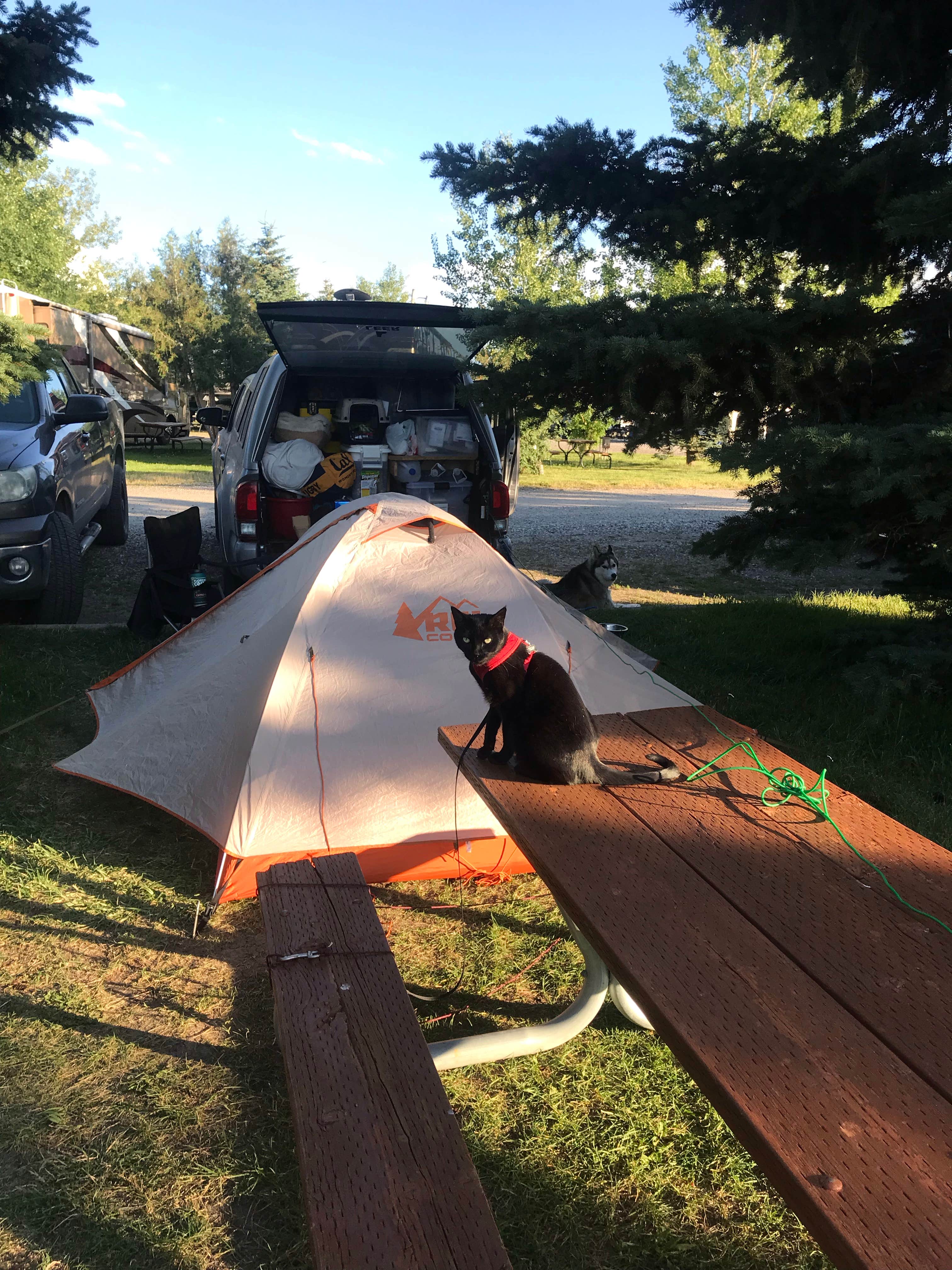 Camper submitted image from Bear Canyon Campground - 2