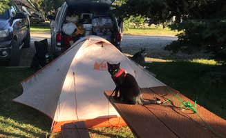 Kaelin P.'s photo at Bear Canyon Campground near Gallatin Gateway, MT