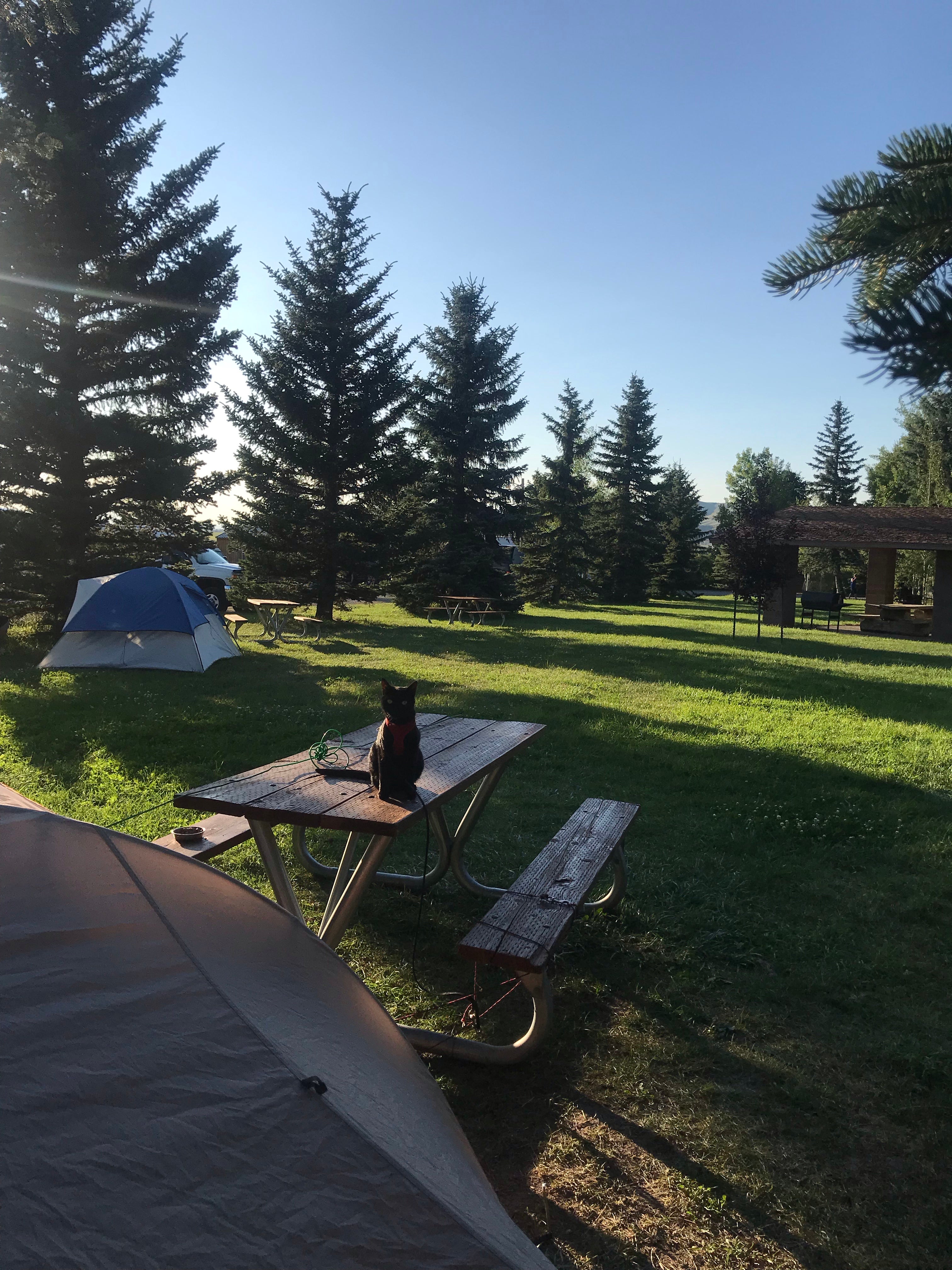 Camper submitted image from Bear Canyon Campground - 4