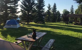 Kaelin P.'s photo at Bear Canyon Campground near Bozeman, MT