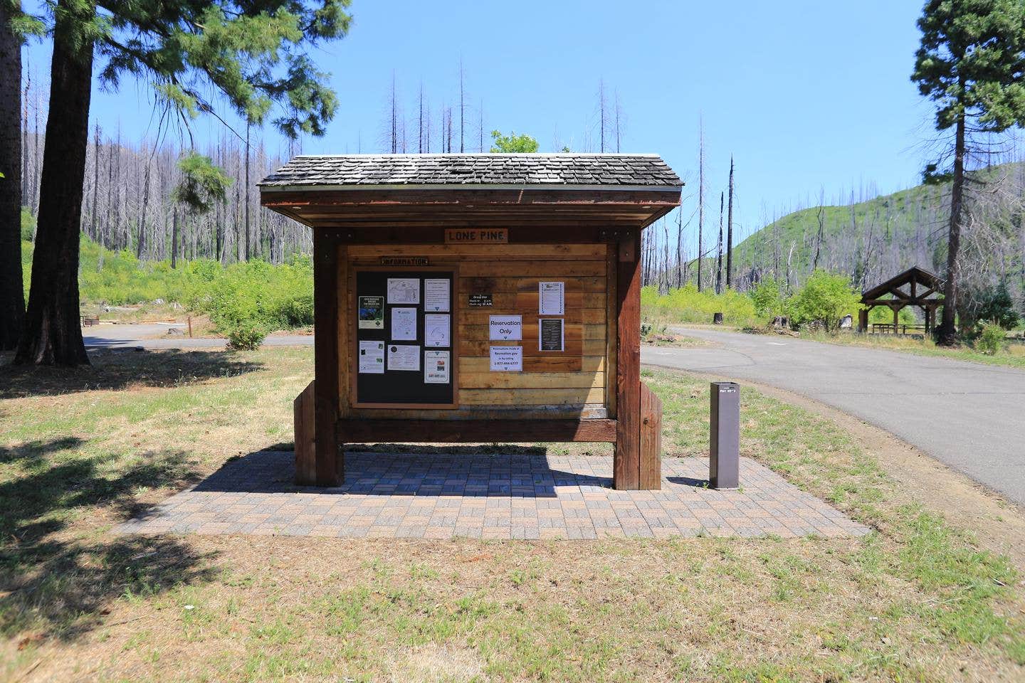 Camper submitted image from Lone Pine Group Campground - 2