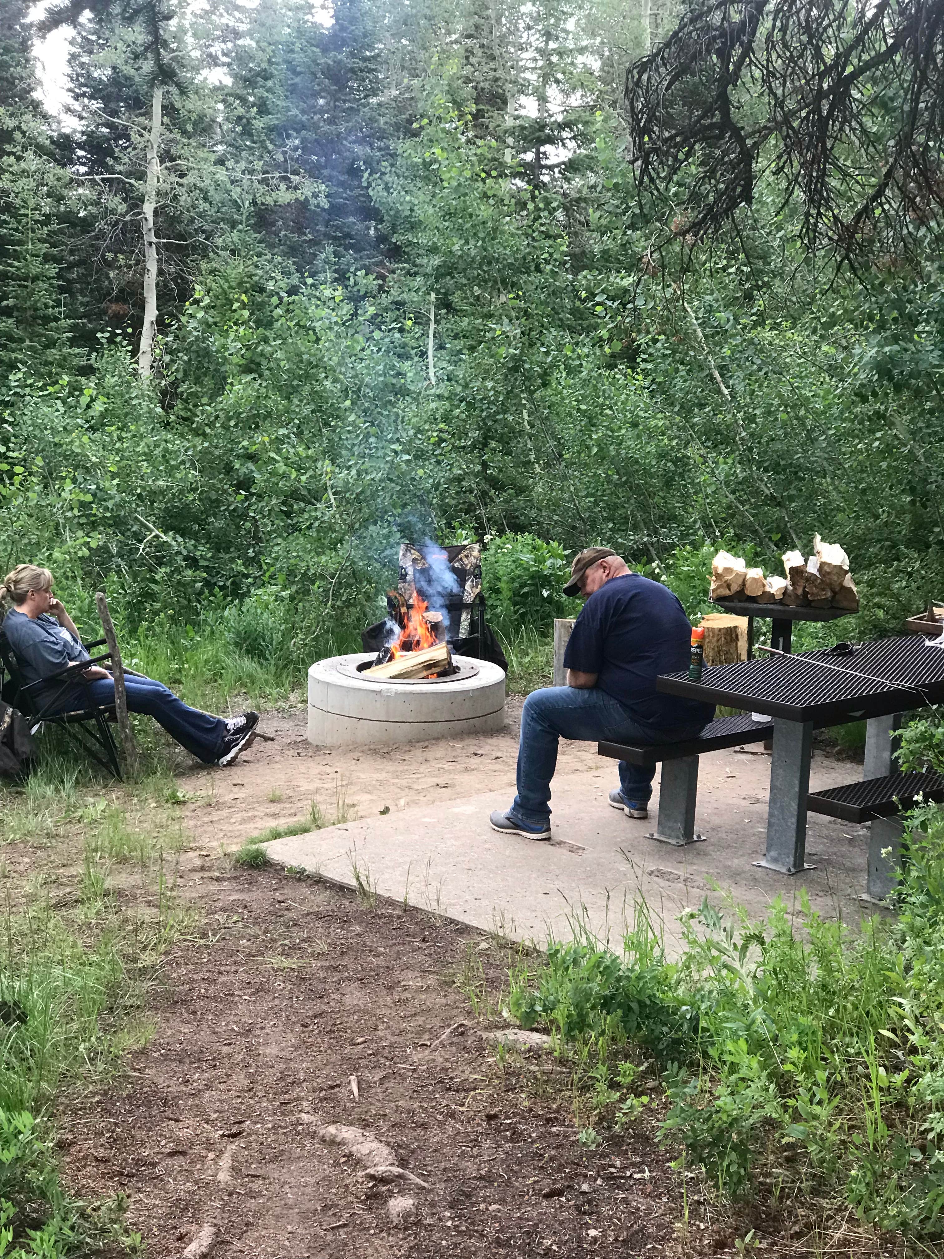 Camping near Birch Creek Campground: Monte Cristo, Woodruff, Utah