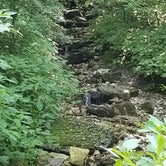 Review photo of High Cliff State Park Campground by Brenda L., July 30, 2019