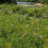 Review photo of High Cliff State Park Campground by Brenda L., July 30, 2019