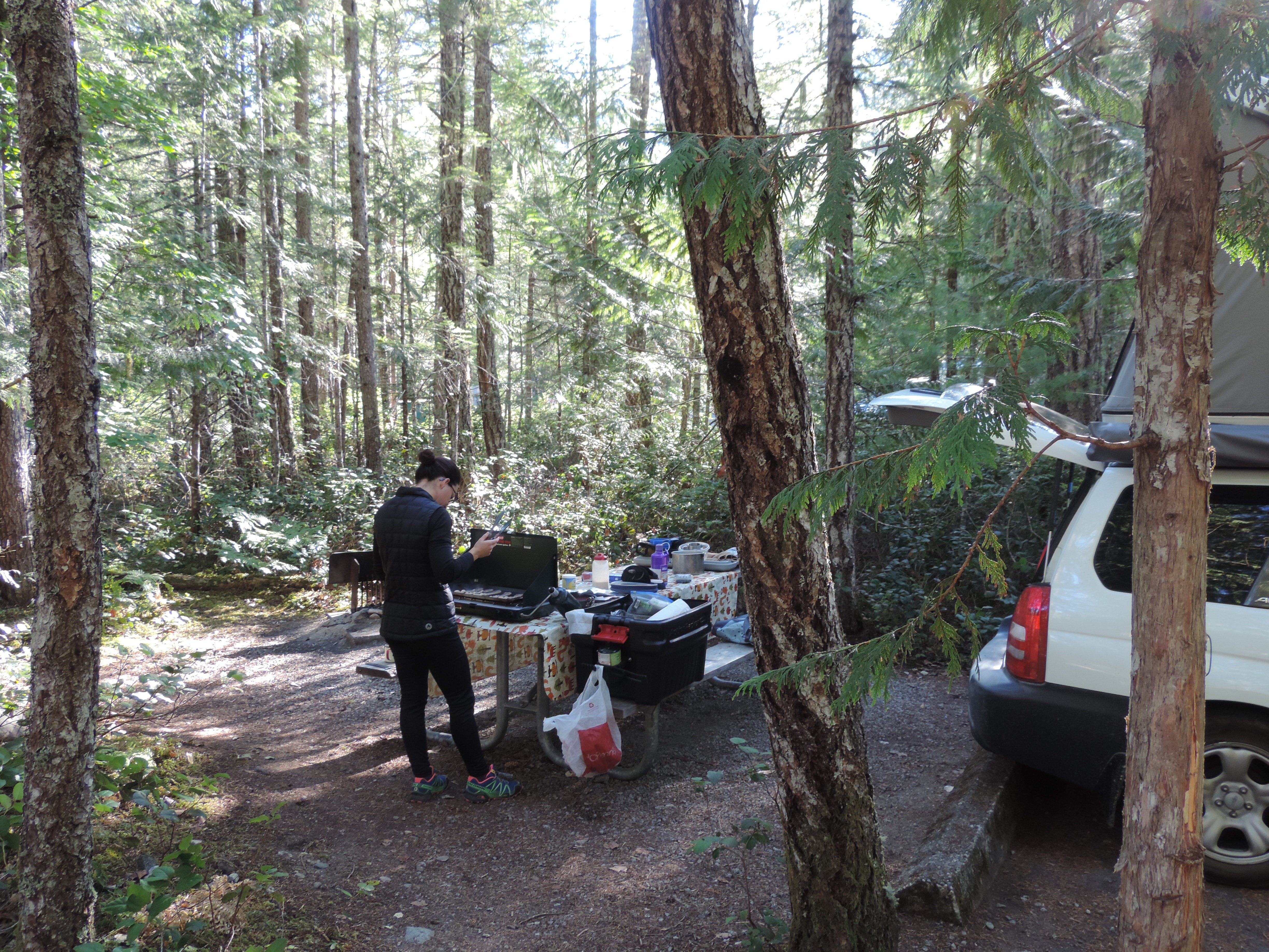 Camper submitted image from Goodell Creek Campground — Ross Lake National Recreation Area - 5
