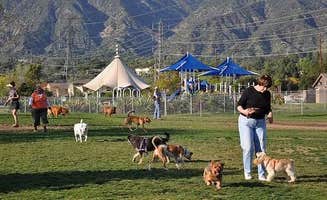 Bryan L.'s photo of camping with pets at Camino Villa Mobile Home & RV Park near Bellaire, TX