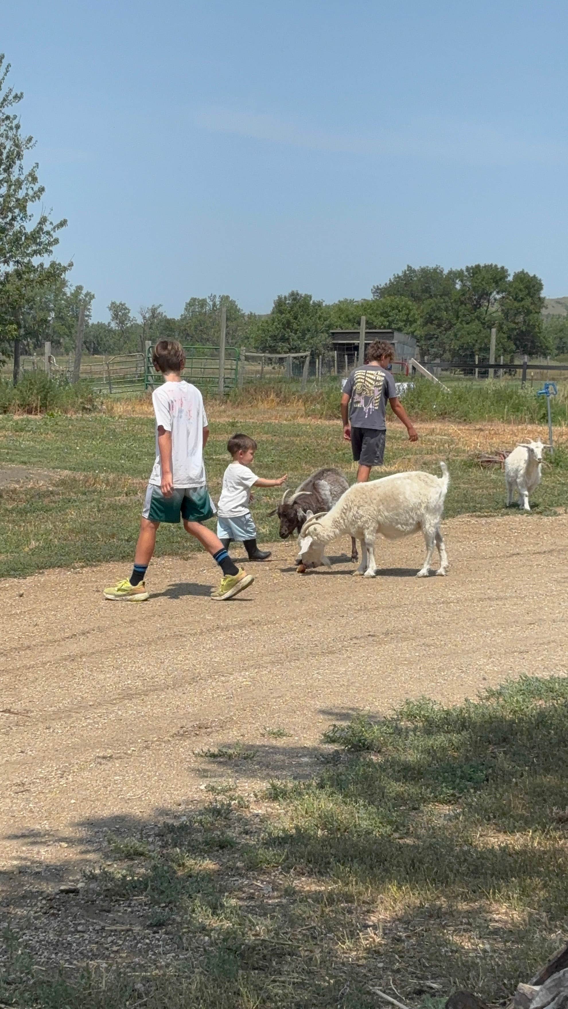 Camper-submitted photo at Goat Crossing Camp near Pierre, SD