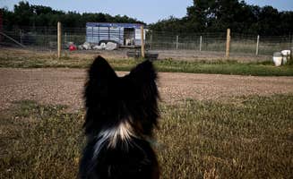 Debt F.'s photo of camping with pets at Goat Crossing Camp near Pierre, SD