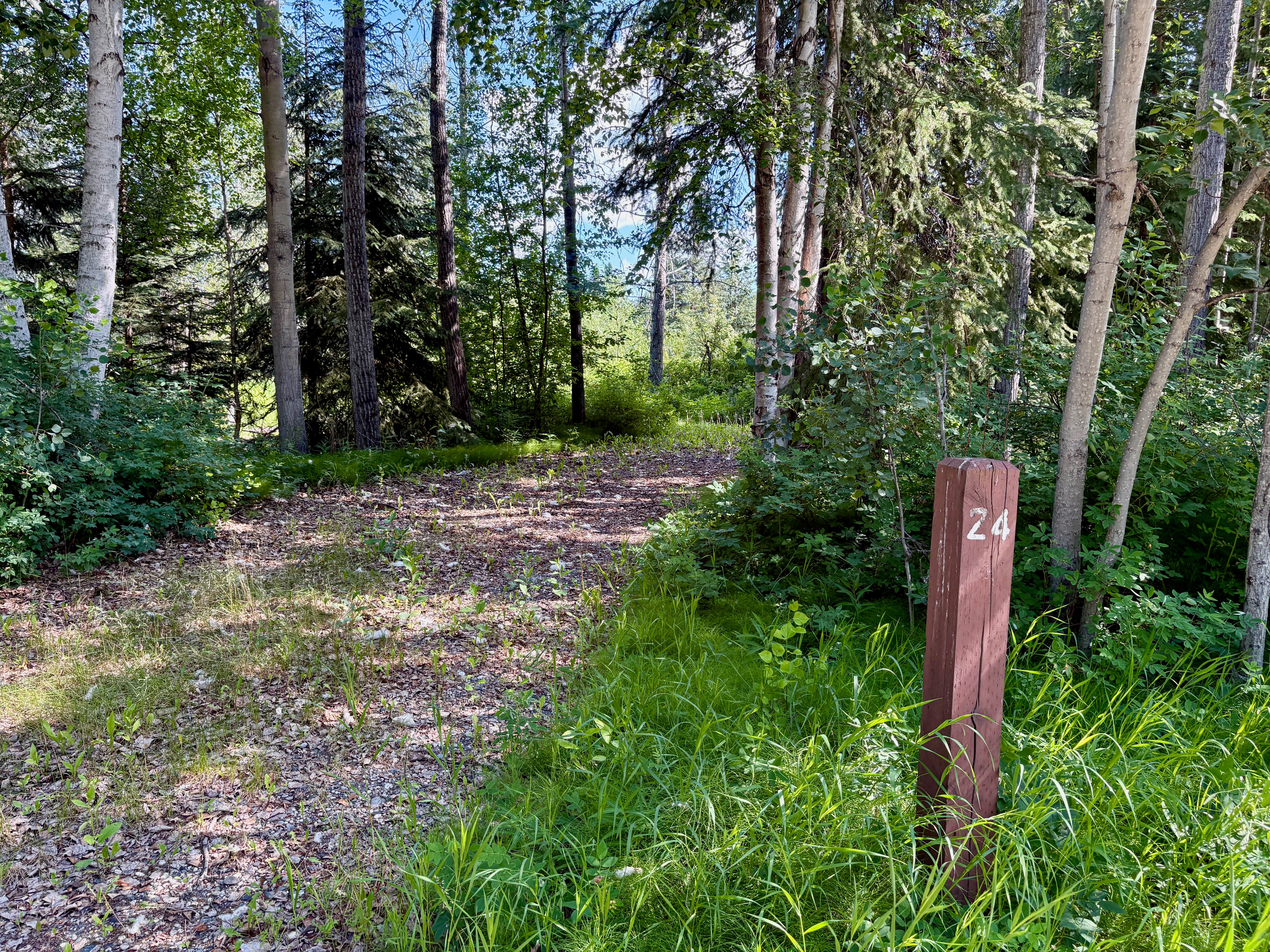Camper submitted image from Eielson AFB Bear Lake - 5