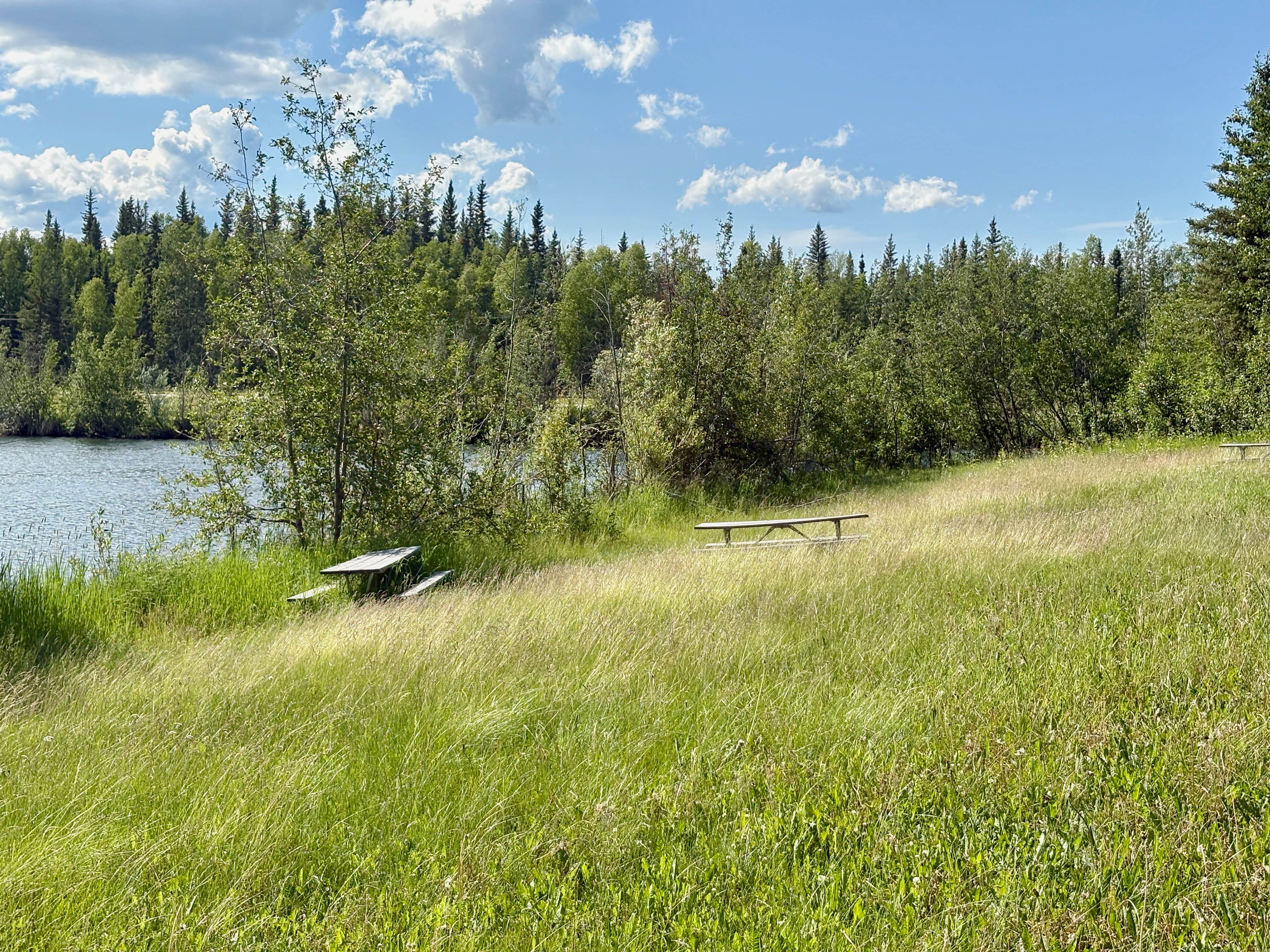 Camper-submitted photo at Eielson AFB Bear Lake near Eielson AFB, AK