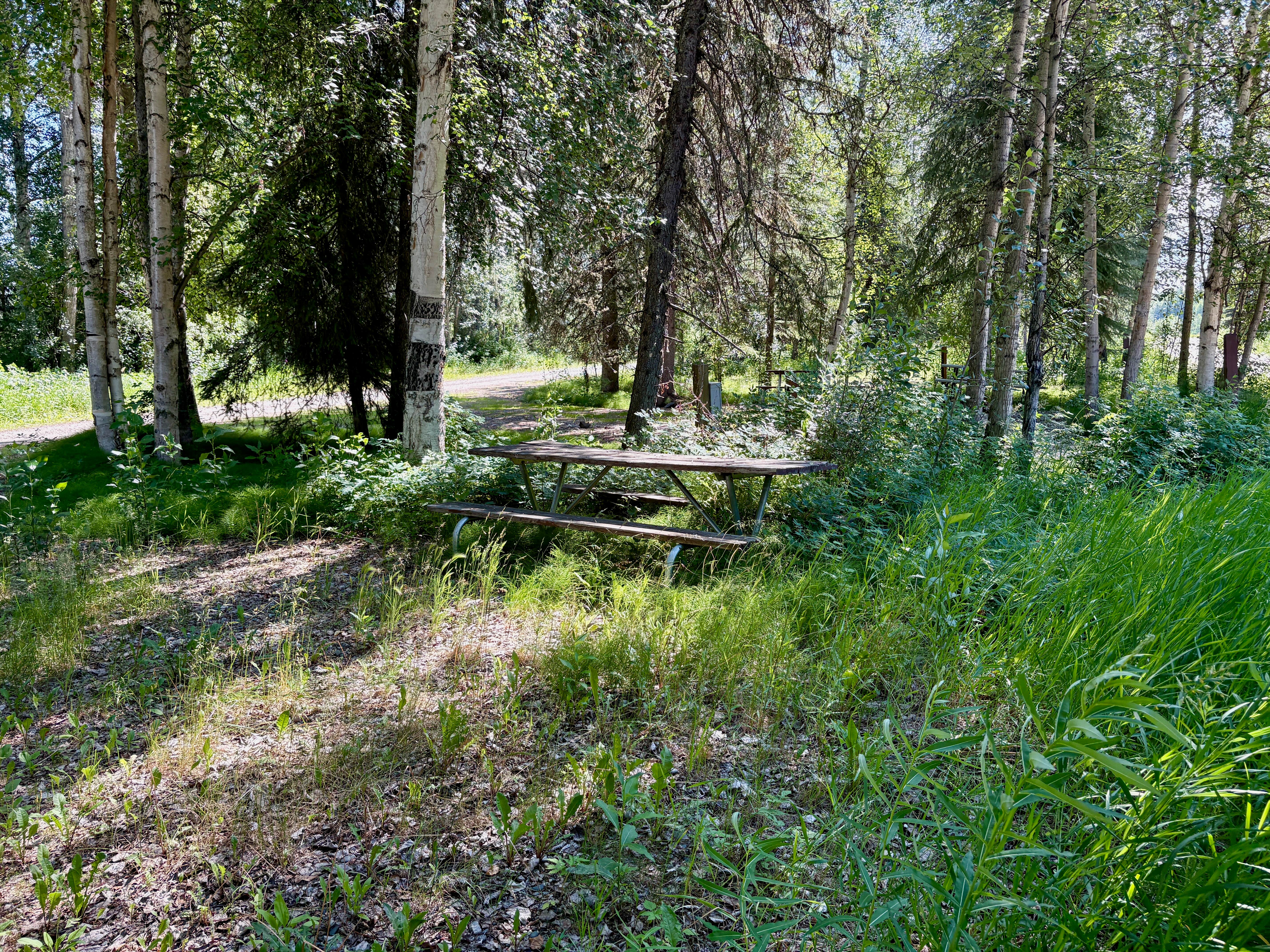 Camper-submitted photo at Eielson AFB Bear Lake near Eielson AFB, AK