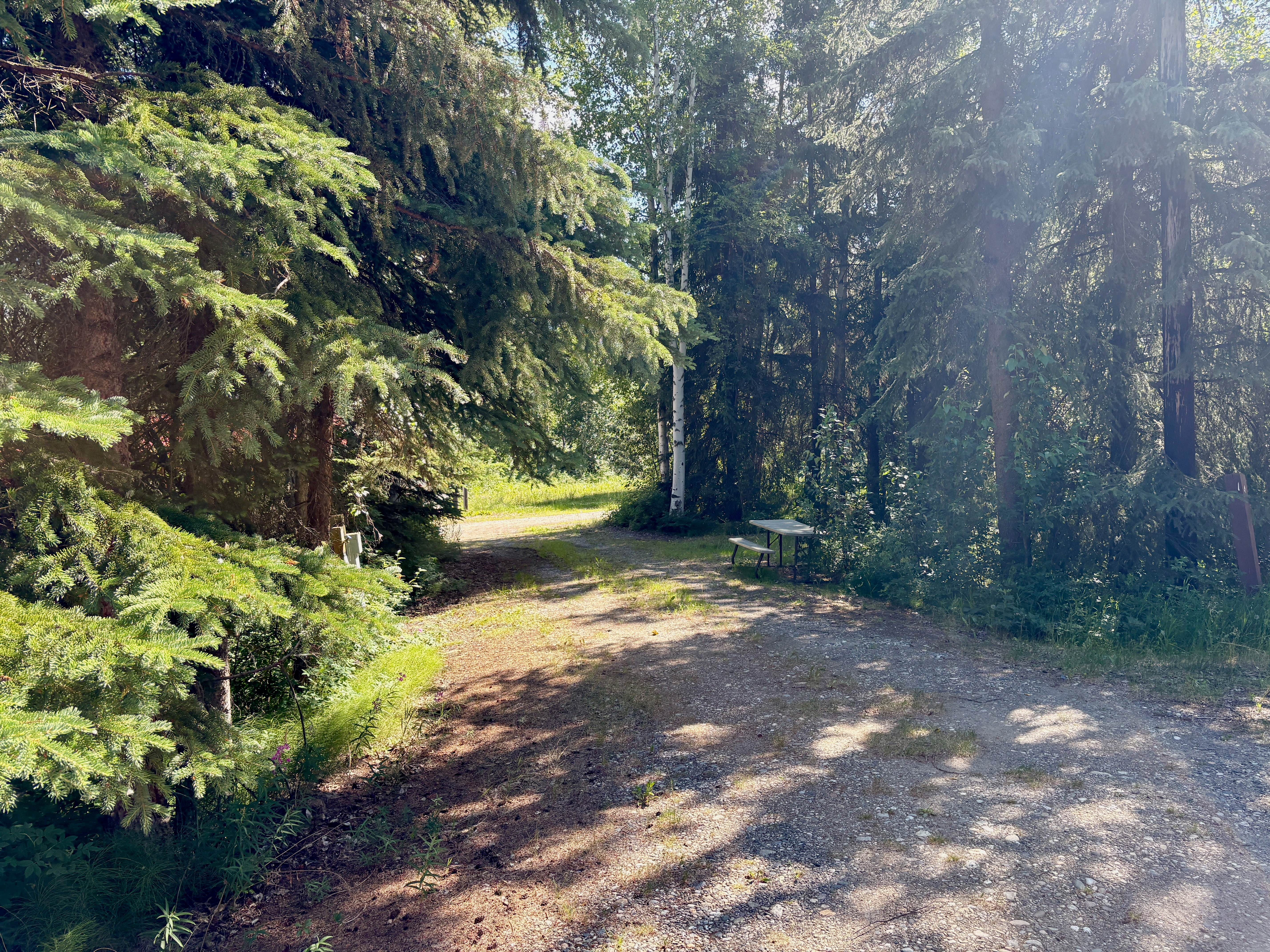 Camper-submitted photo at Eielson AFB Bear Lake near Eielson AFB, AK
