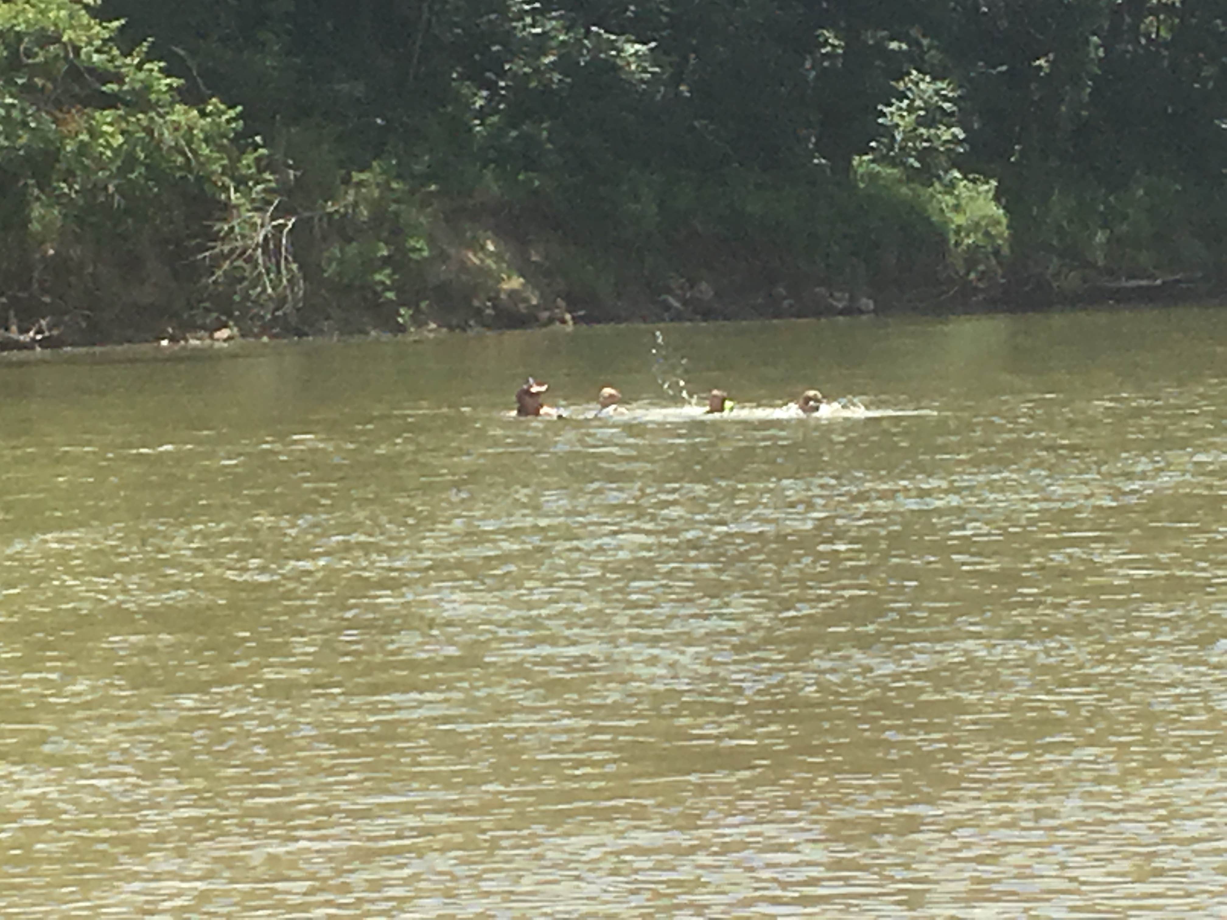 Camper-submitted photo at Boiling Springs Campground near Dixon, MO