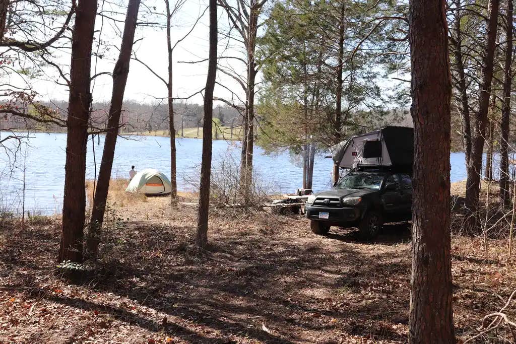 Camper submitted image from Martin's Landing Camp - 1